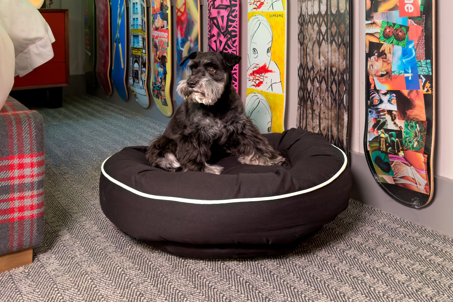 Canine Styles - Cotton Canvas Beds - Solid Colors w/Off White Piping - Dog Beds - 7 Color Options