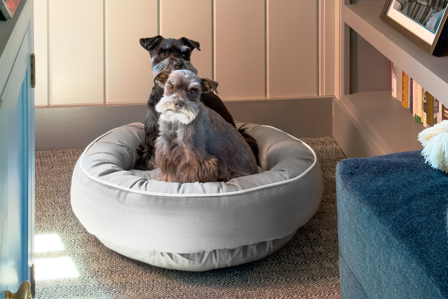 Canine Styles - Cotton Canvas Beds - Solid Colors w/Off White Piping - Dog Beds - 7 Color Options