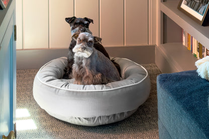 Canine Styles - Cotton Canvas Beds - Solid Colors w/Off White Piping - Dog Beds - 7 Color Options