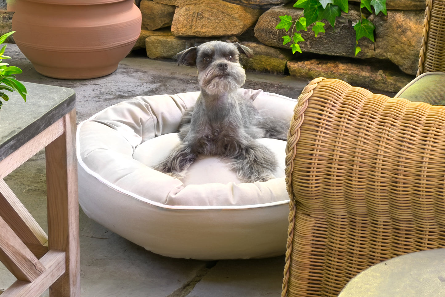 Canine Styles - Cotton Canvas Beds - Solid Colors w/Off White Piping - Dog Beds - 7 Color Options