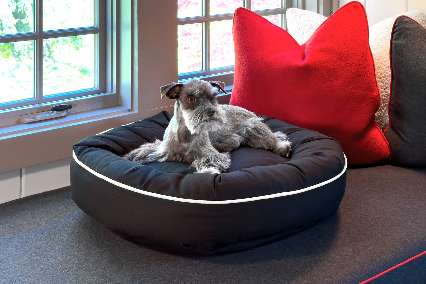 Canine Styles - Cotton Canvas Beds - Solid Colors w/Off White Piping - Dog Beds - 7 Color Options