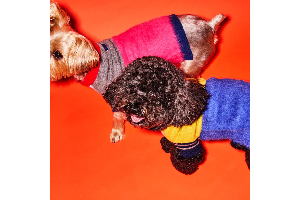 Dog Sweater - Blue/Gold Hairy Crazy Striped Sweater