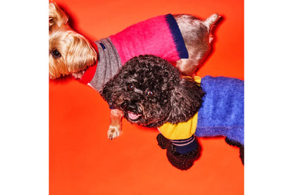 Dog Sweater - Blue/Gold Hairy Crazy Striped Sweater