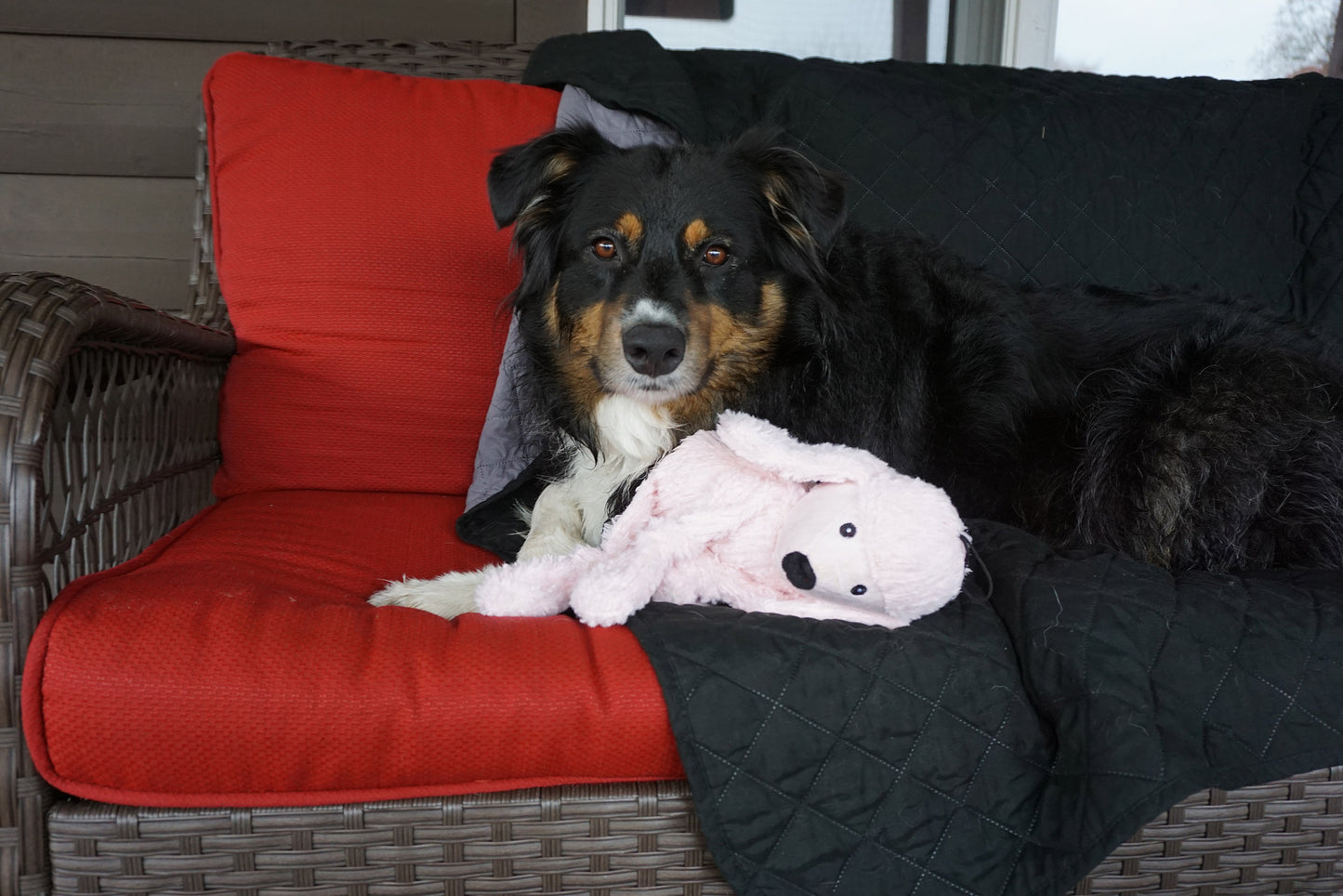 Dog Toy - Diva Pink Poodle Knottie Plush Dog Toy - 2 Size Options