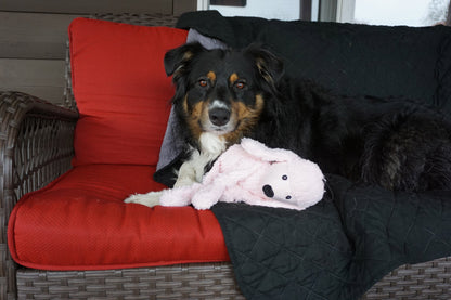 Dog Toy - Diva Pink Poodle Knottie Plush Dog Toy - 2 Size Options