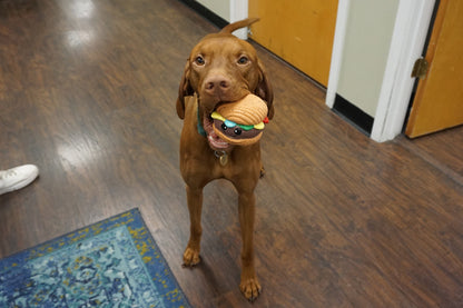 Big Buns Foodies Hamburger Ruff-Tex Latex Ball - Dog Toy