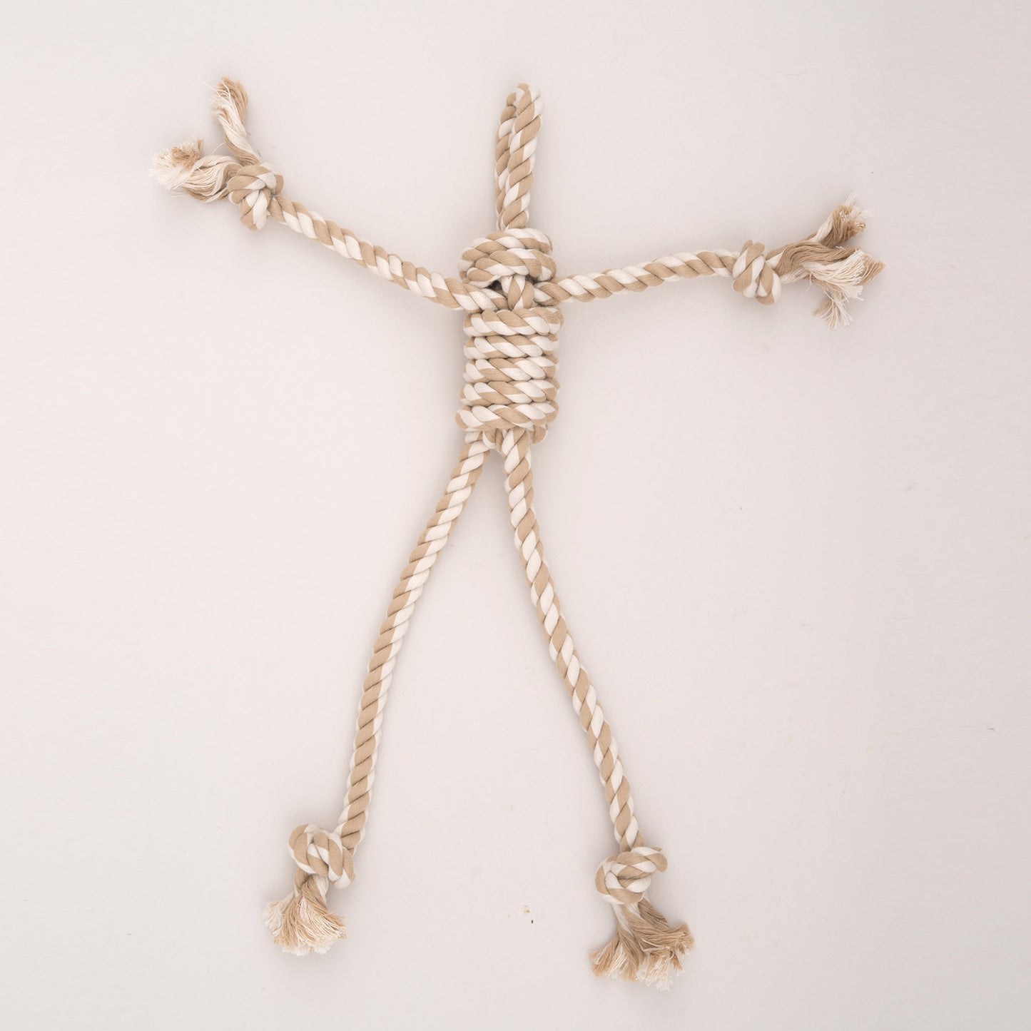 Dog Toy - Redwood Raccoon X-Brace Plush Dog Toy