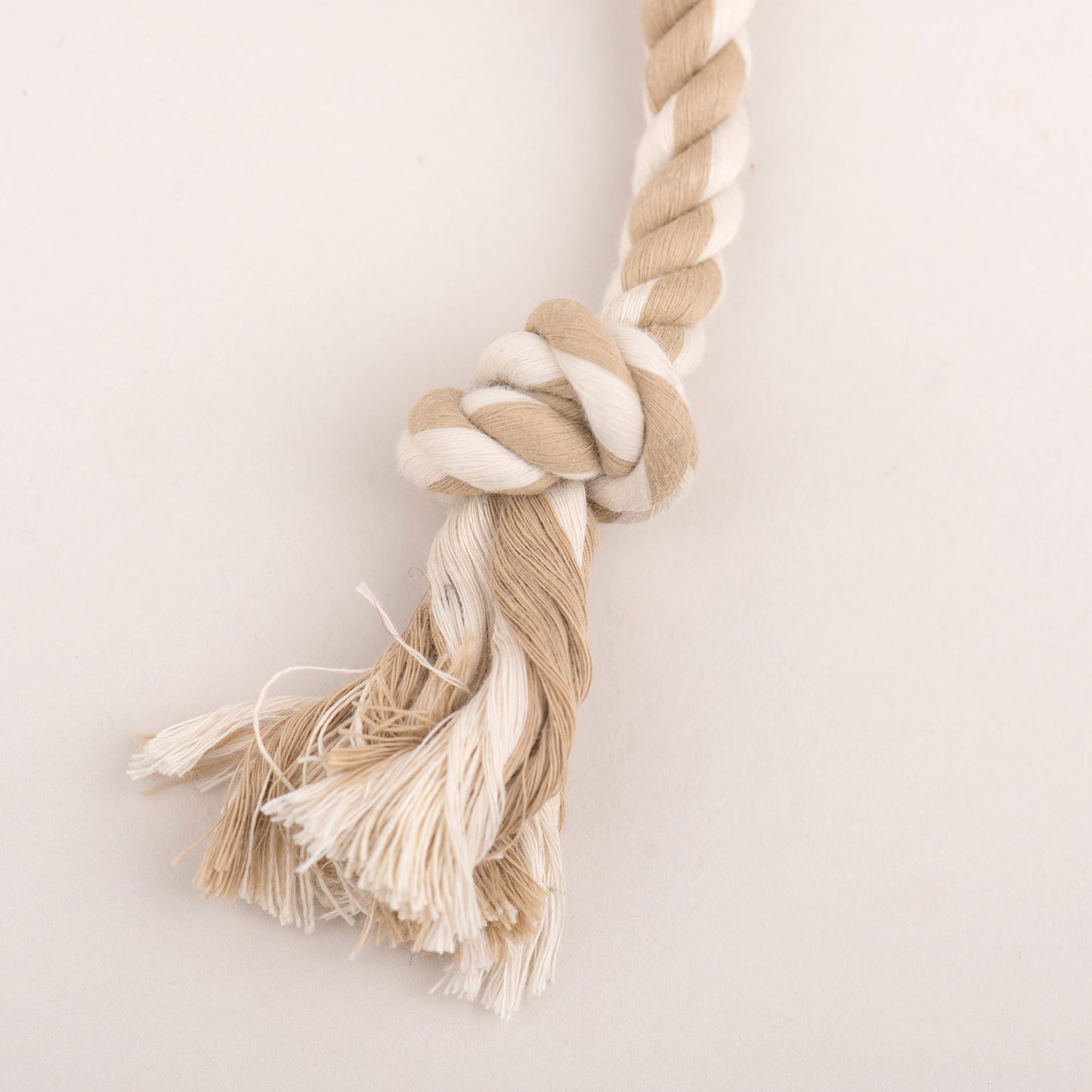 Dog Toy - Redwood Raccoon X-Brace Plush Dog Toy