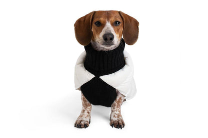 Cashmere/Down - Dog Sweater - Lilly Bird Puffer Sweater - White/Black