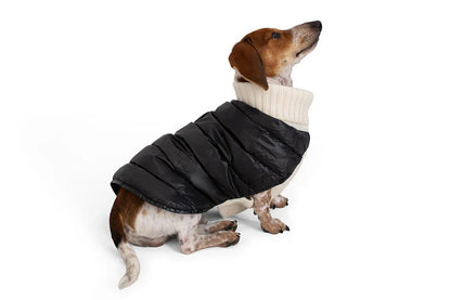 Cashmere/Down - Dog Sweater - Lilly Bird Puffer Sweater - Black/White