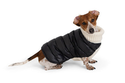 Cashmere/Down - Dog Sweater - Lilly Bird Puffer Sweater - Black/White