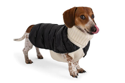 Cashmere/Down - Dog Sweater - Lilly Bird Puffer Sweater - Black/White