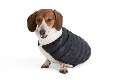 Cashmere/Down - Dog Sweater - Lilly Bird Puffer Sweater - Black/White