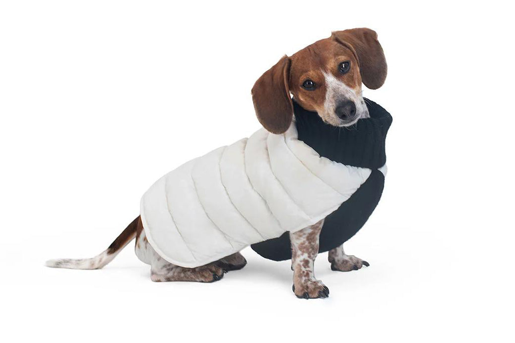Cashmere/Down - Dog Sweater - Lilly Bird Puffer Sweater - White/Black