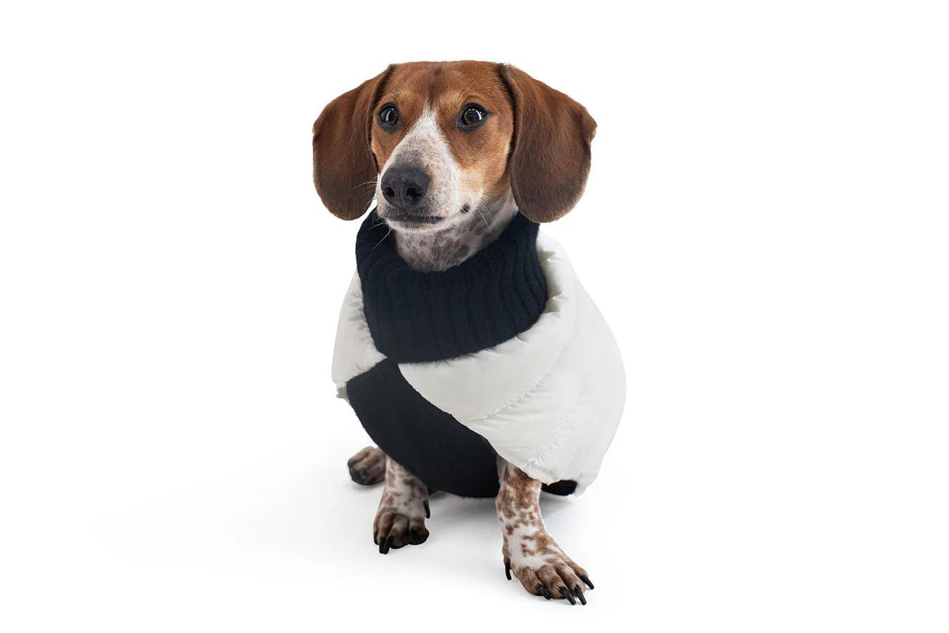 Cashmere/Down - Dog Sweater - Lilly Bird Puffer Sweater - White/Black
