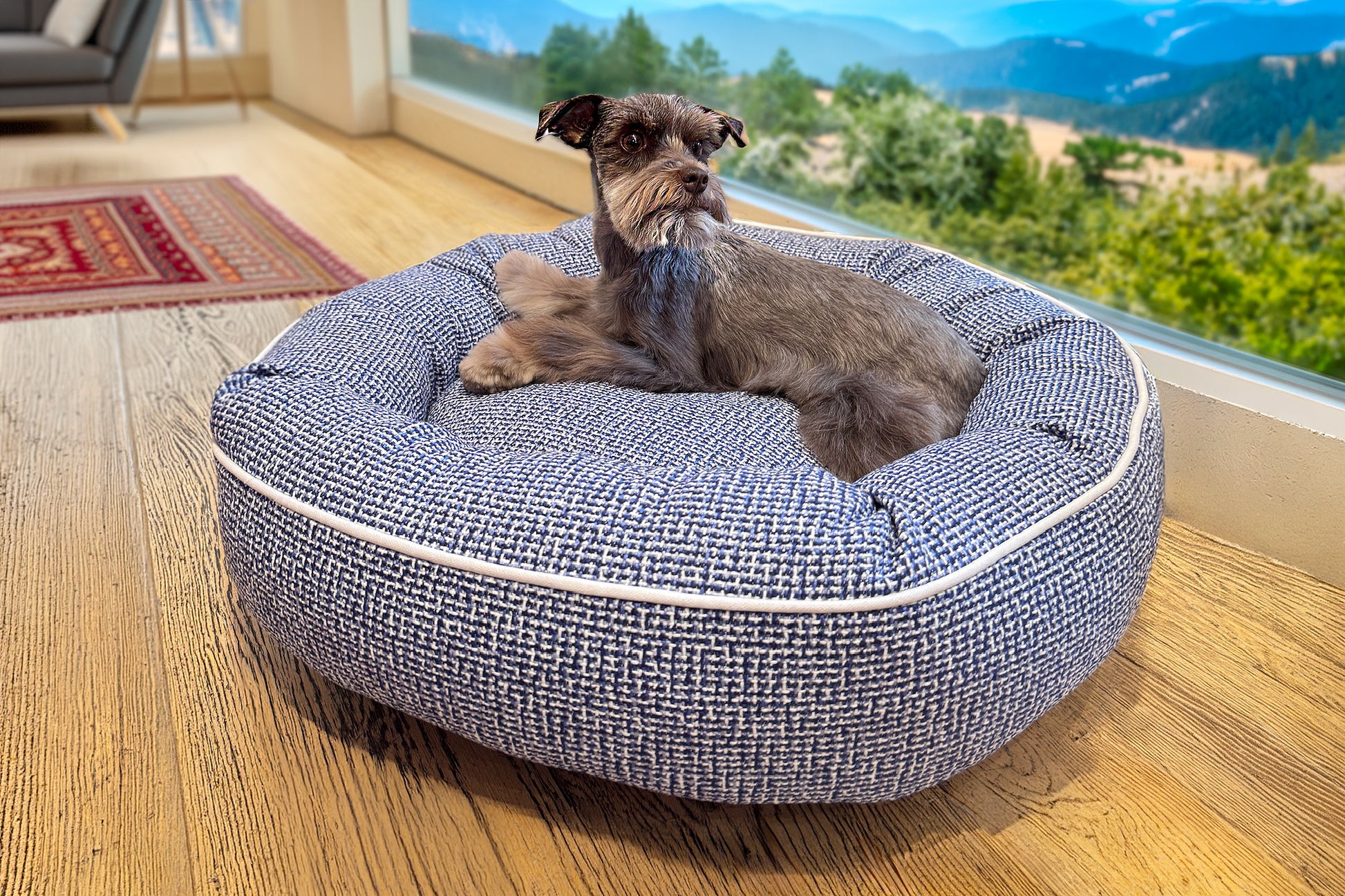 Dog lying on a blue denim pet bed
