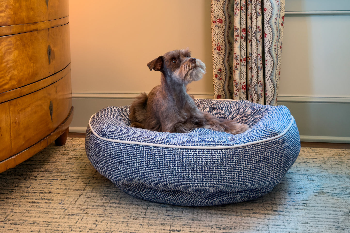 Dog lying on a dark denim dog bed in a room with a wooden dresser and floral curtain.