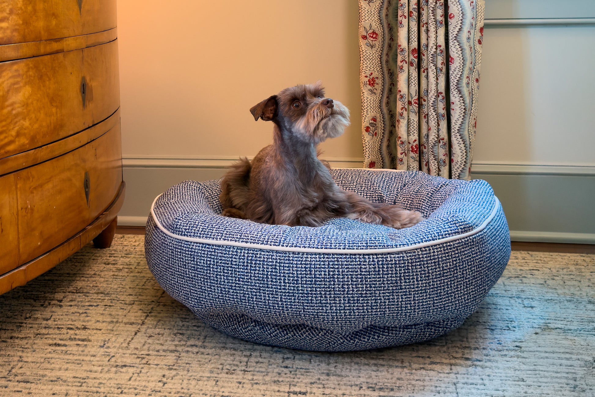 Dog lying on a dark denim dog bed in a room with a wooden dresser and floral curtain.