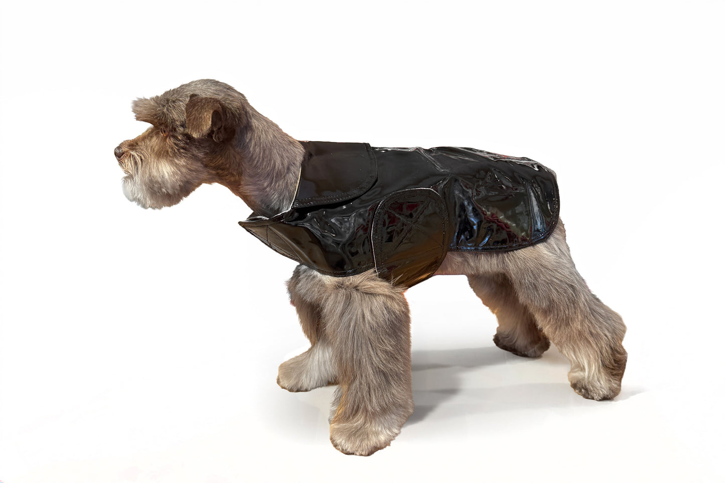 Dog Coat - Raincoats Slickers - 6 Color Options - 8" - 16"