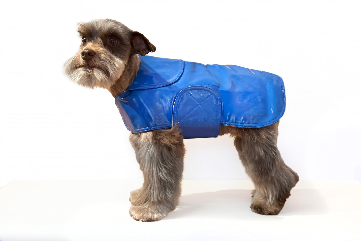 Dog Coat - Raincoats Slickers - 6 Color Options - 8" - 16"