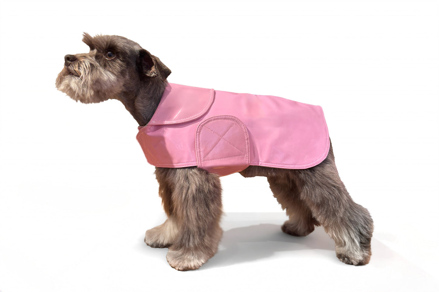 Dog Coat - Raincoats Slickers - 6 Color Options - 8" - 16"