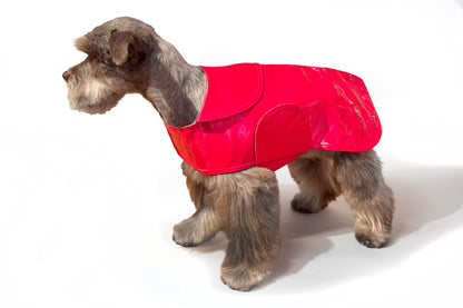 Dog Coat - Raincoats Slickers - 6 Color Options - 8" - 16"