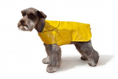 Dog Coat - Raincoats Slickers - 6 Color Options - 8" - 16"
