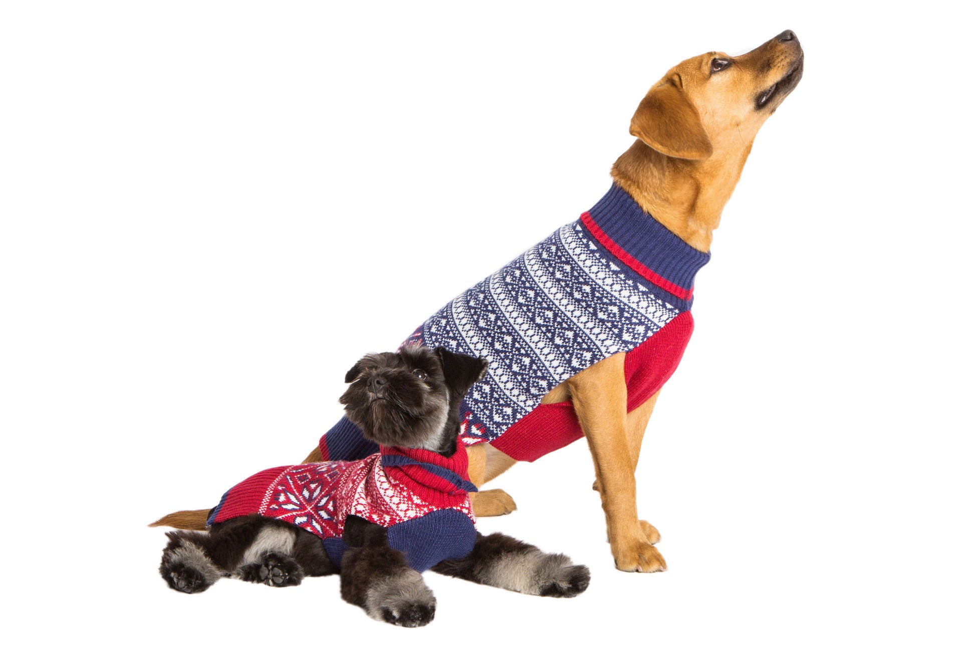 Wool Dog Sweater Whistler Fair Isle Blue Sweater Red Sweater