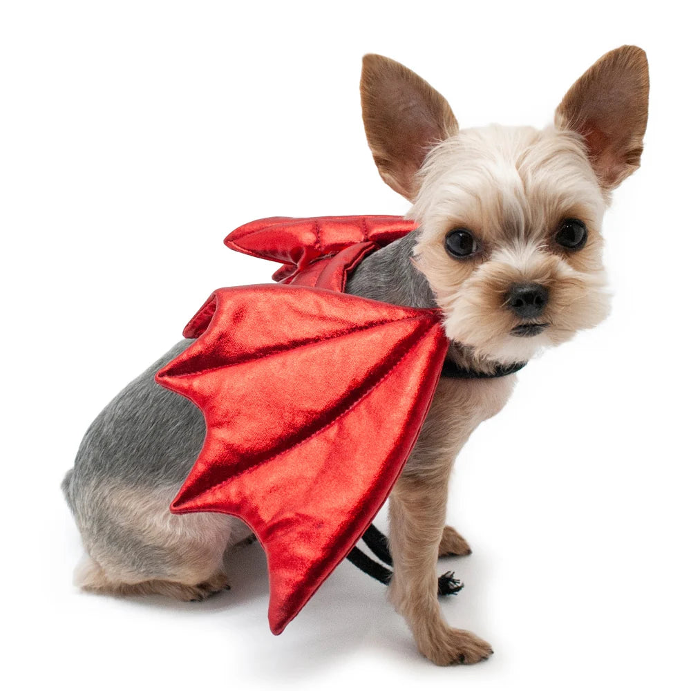 Dog Halloween Costumes | Dragon Wings
