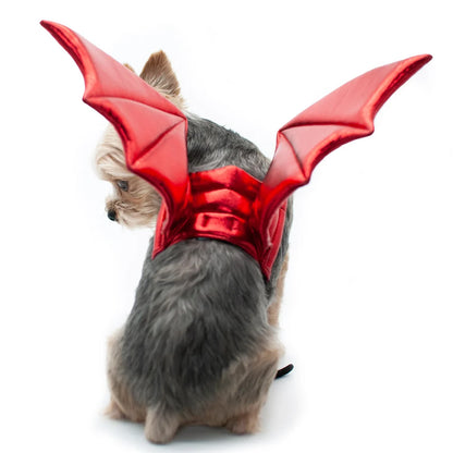 Dog Halloween Costumes | Dragon Wings