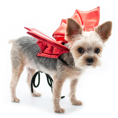 Dog Halloween Costumes | Dragon Wings
