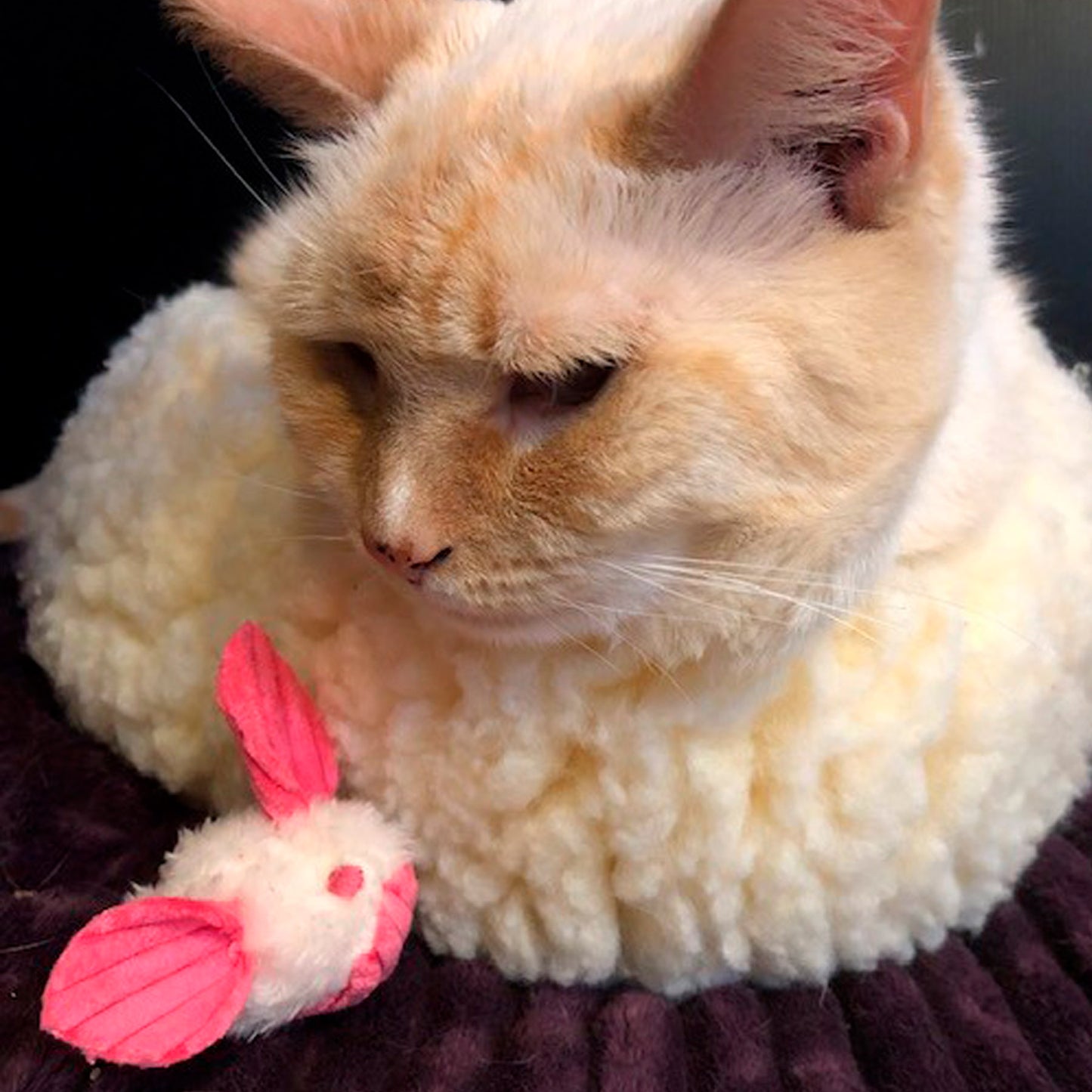 Cat Toy - HuggleKats Dust Bunnies Cat Toys - 3 pack