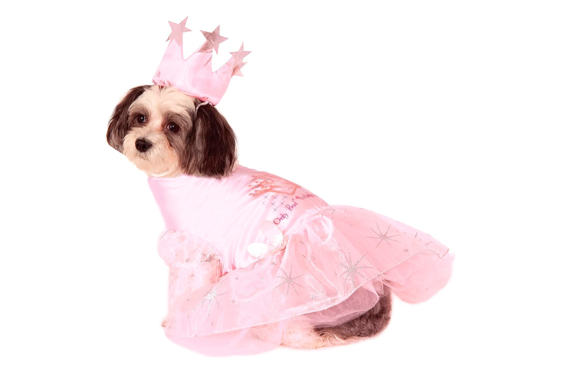 Dog Halloween Costumes Dog Halloween Costumes