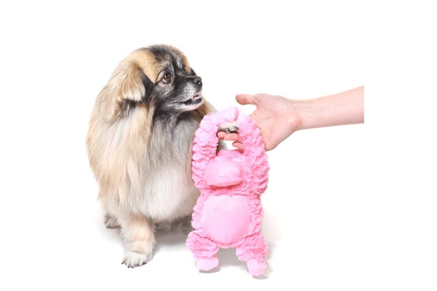 Dog Toy - 8" Pastel Gorilla