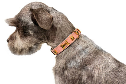 Dog wearing a pink leather collar on a white background