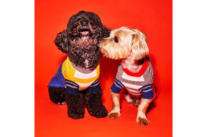 Dog Sweater - Blue/Gold Hairy Crazy Striped Sweater