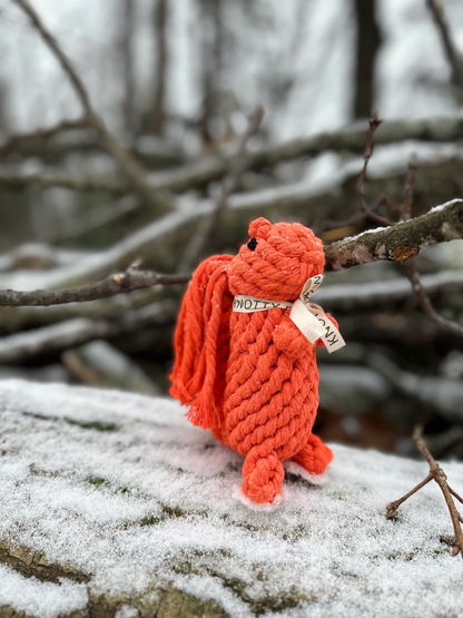 Handmade Eco-Squirrel Rope Toys - Dog Toy
