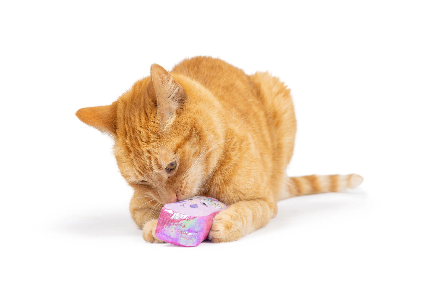 Cat Toy - Hoppy Easter Cat Toy - 2 Options