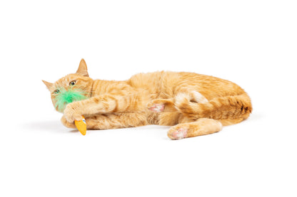 Cat Toy - Hoppy Easter Cat Toy - 2 Options