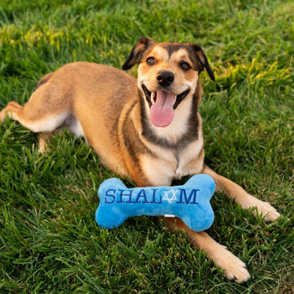 Hanukkah - Joy Vey Bone (Double Sided) - Dog Toy