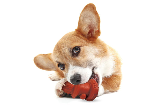 NEW - Dog Toy - The Hydrant - 2 Size Options