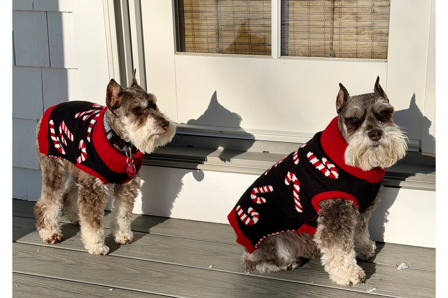 Christmas - Holiday - Candy Cane Sweater - Red & Black