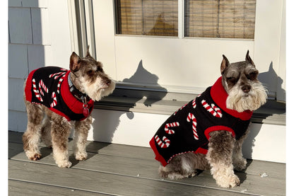 Christmas - Holiday - Candy Cane Sweater - Red & Black