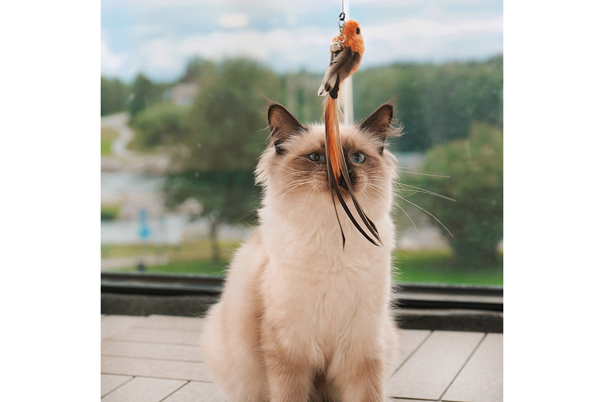 Cat Toy - Interactive Bird Simulation Cat Toy Set