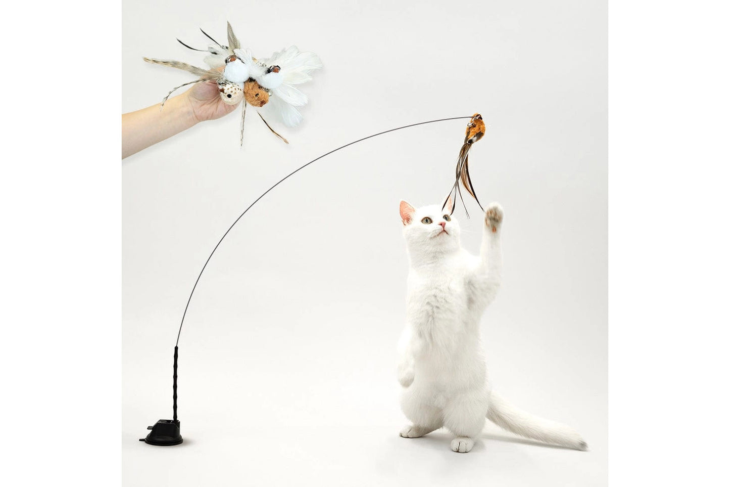 Cat Toy - Interactive Bird Simulation Cat Toy Set