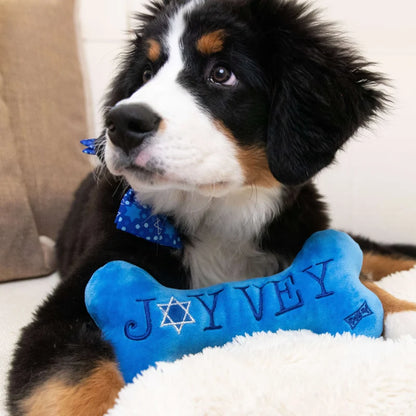 Hanukkah - Joy Vey Bone (Double Sided) - Dog Toy