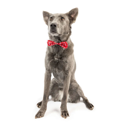 King & Queen of Hearts Bow Tie - Valentines