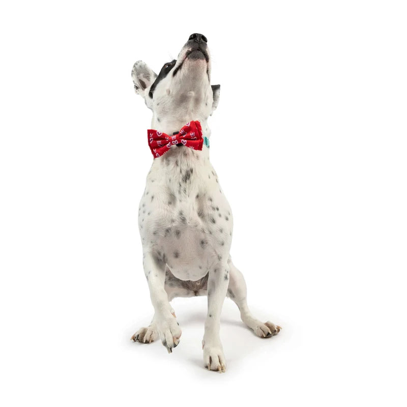 King & Queen of Hearts Bow Tie - Valentines