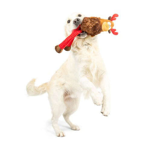 Christmas - Lankies Monty Moose - Dog Toy