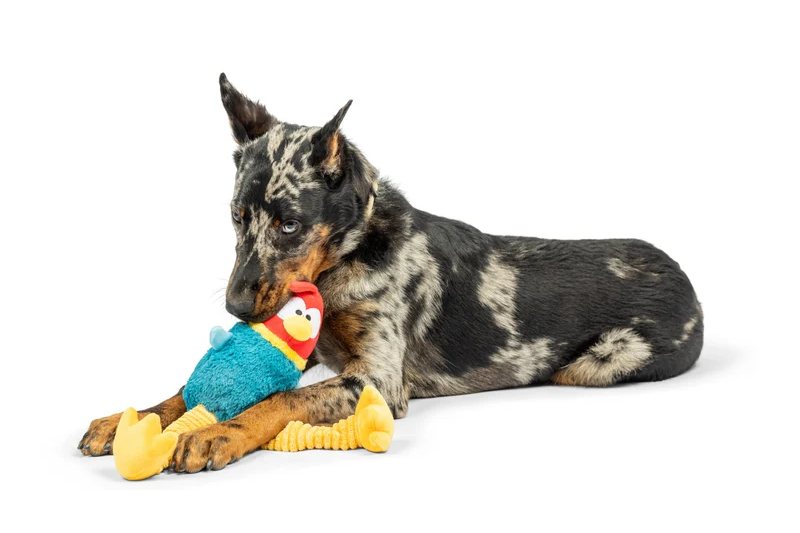 Dog Toy - Lankies Red Rooster - 2 Sizes